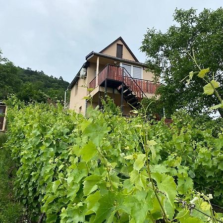Feher Szolo Vendeghaz Шаторальяуйхей Экстерьер фото